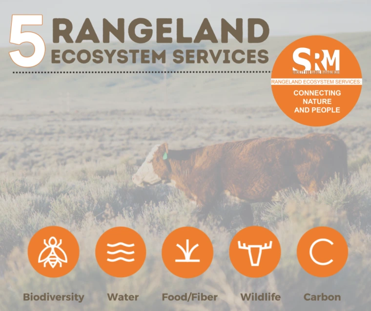 5 Ecosystem Services