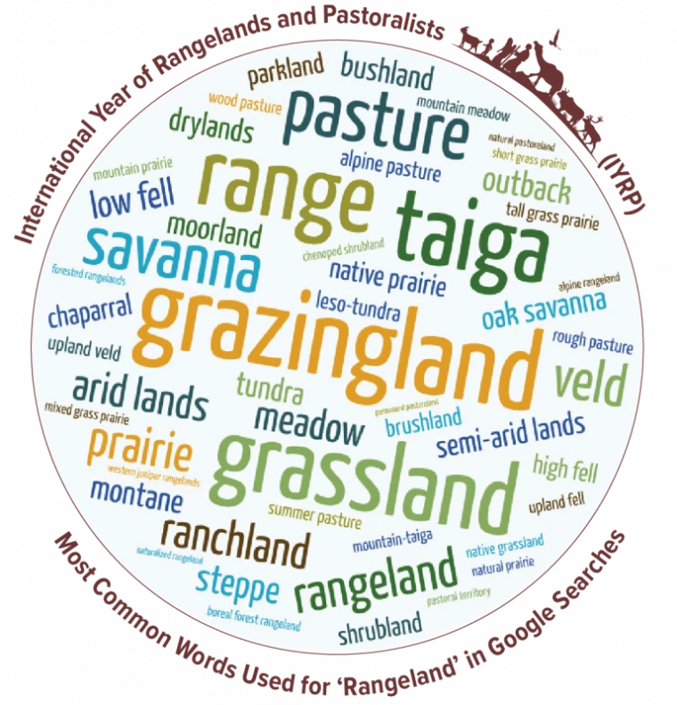 Rangelands word cloud